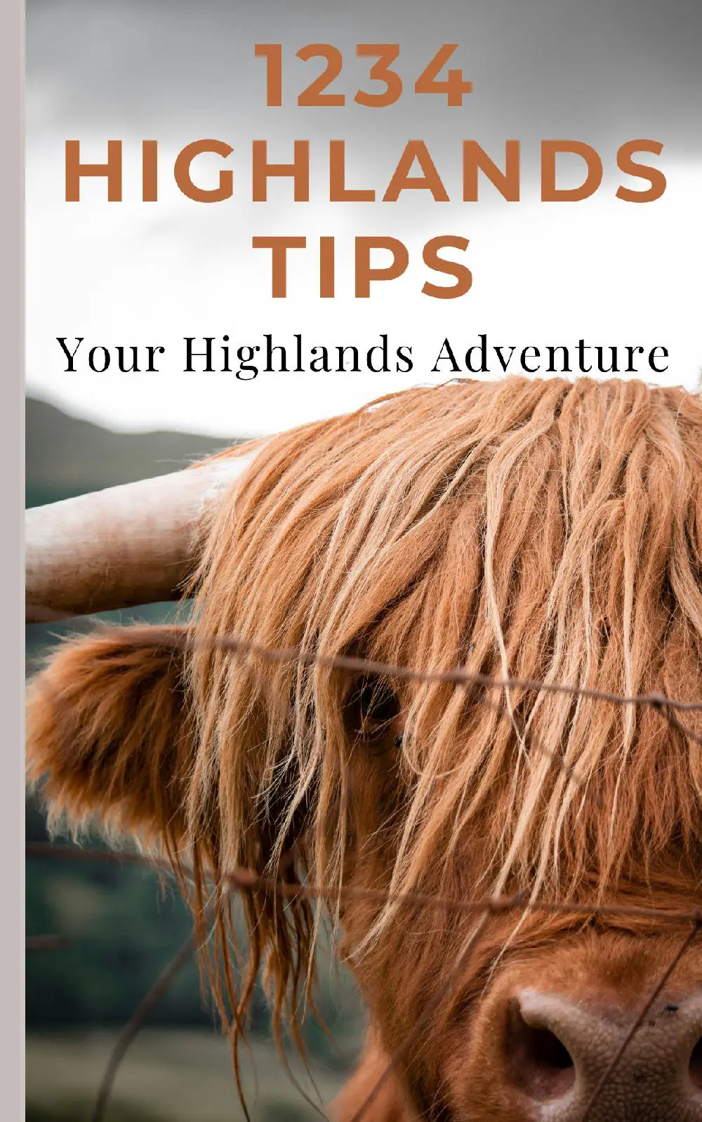 1234 Highlands Tips