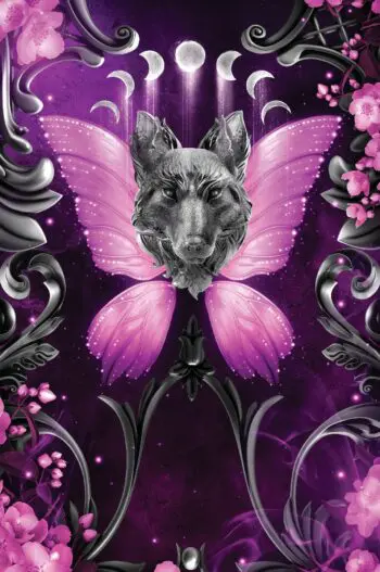 Wicked Fae: Books 1-4 paperback deluxe