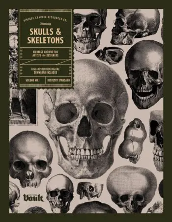 Skulls & Skeletons