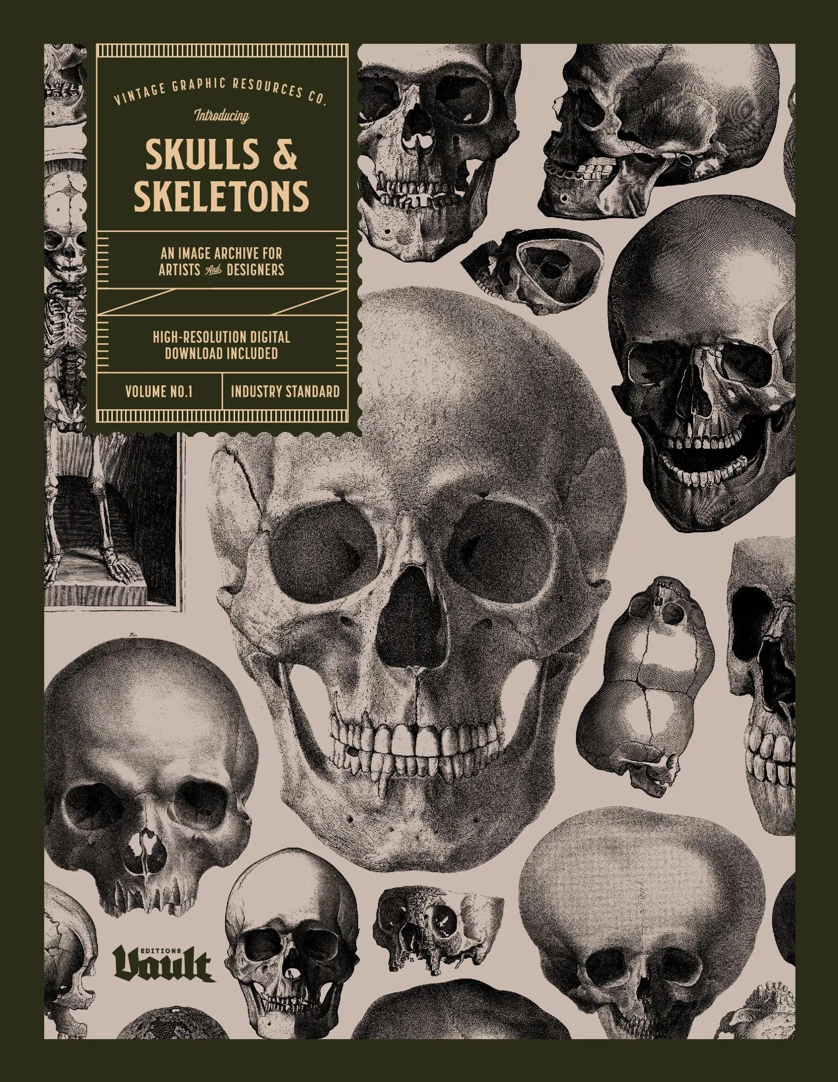 Skulls & Skeletons