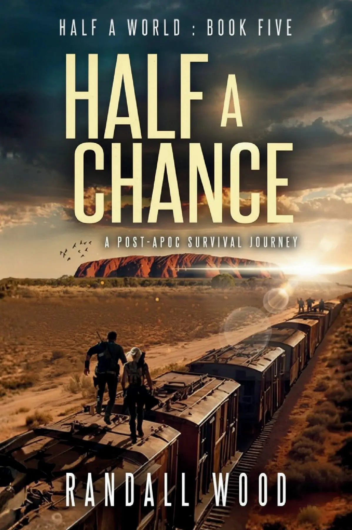 Half a Chance LARGE PRINT