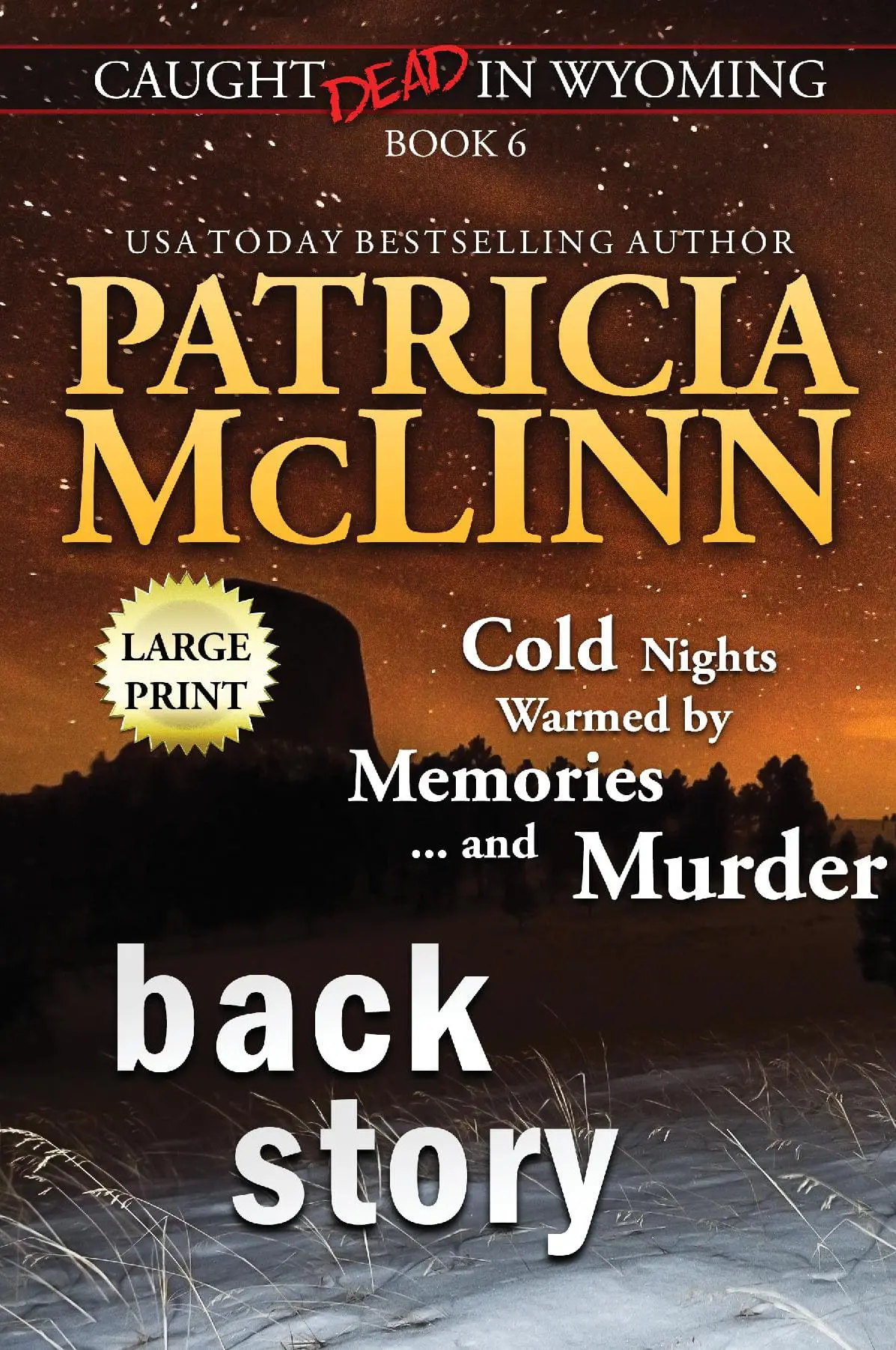 Back Story: Large Print