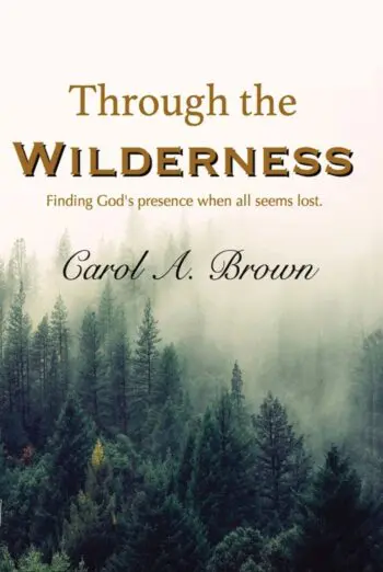 Through The Wilderness