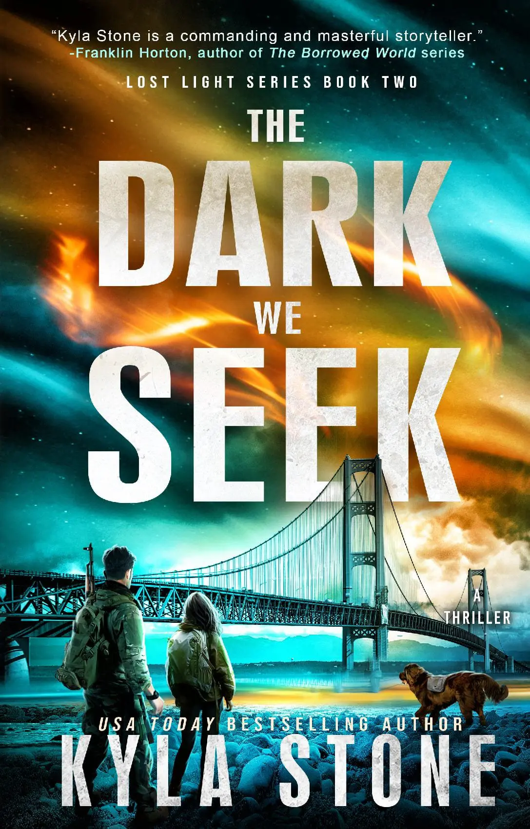The Dark We Seek