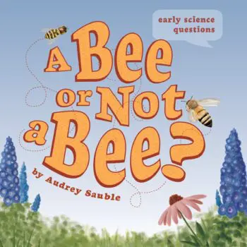 A Bee or Not a Bee?