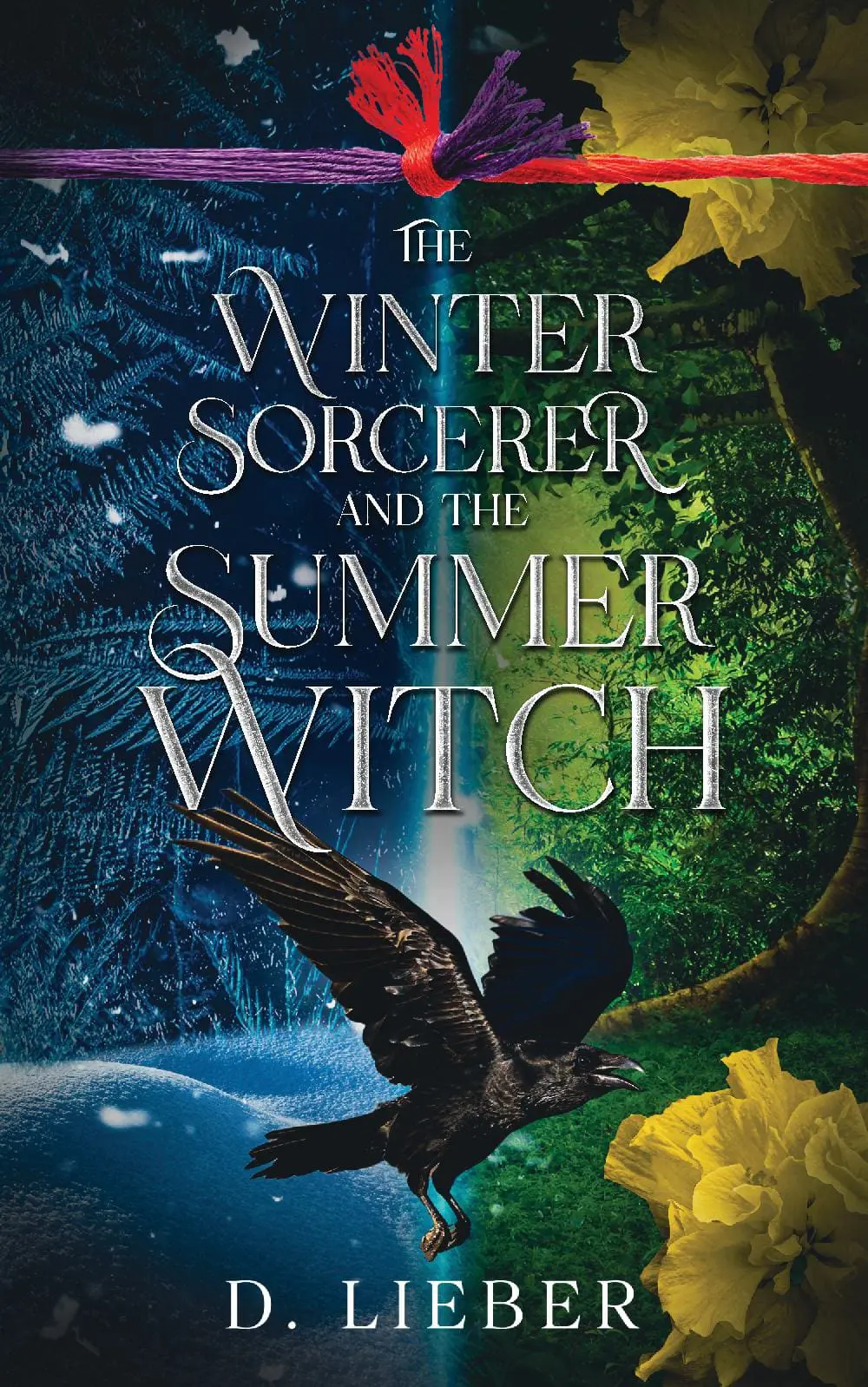 The Winter Sorcerer and the Summer Witch