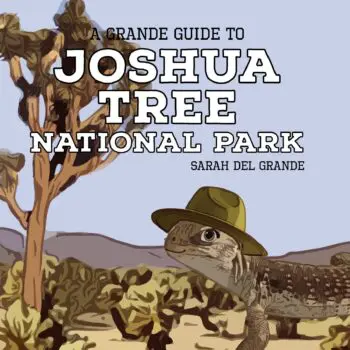 Joshua Tree National Park