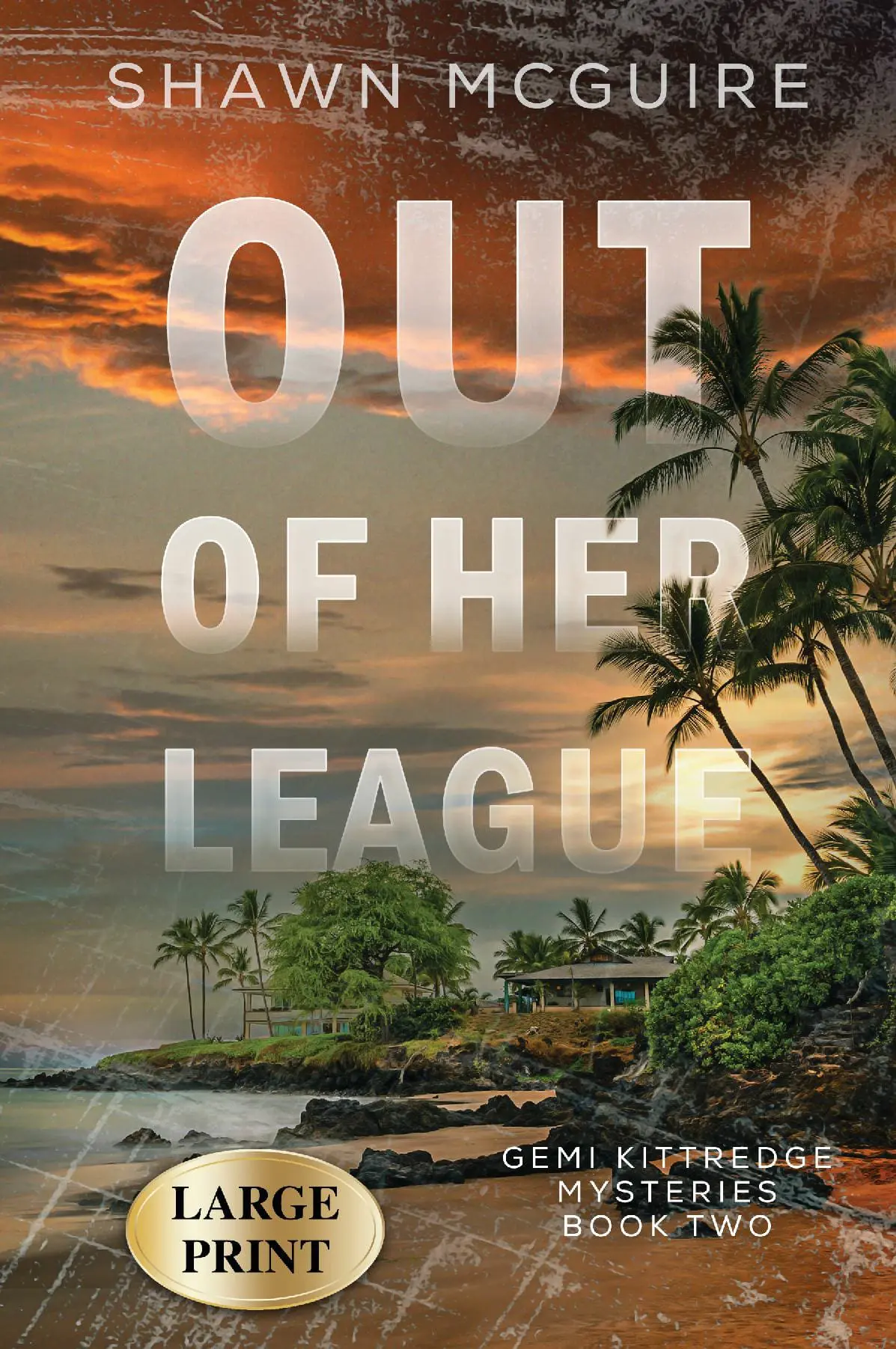 Out of Her League LARGE PRINT