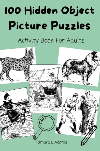 100 Hidden Object Picture Puzzles