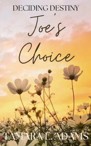 Deciding Destiny: Joe's Choice