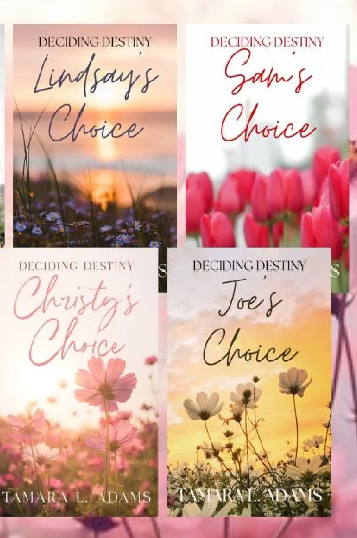 Deciding Destiny Series Omnibus
