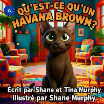 Qu'est-ce qu'un Havana Brown ?