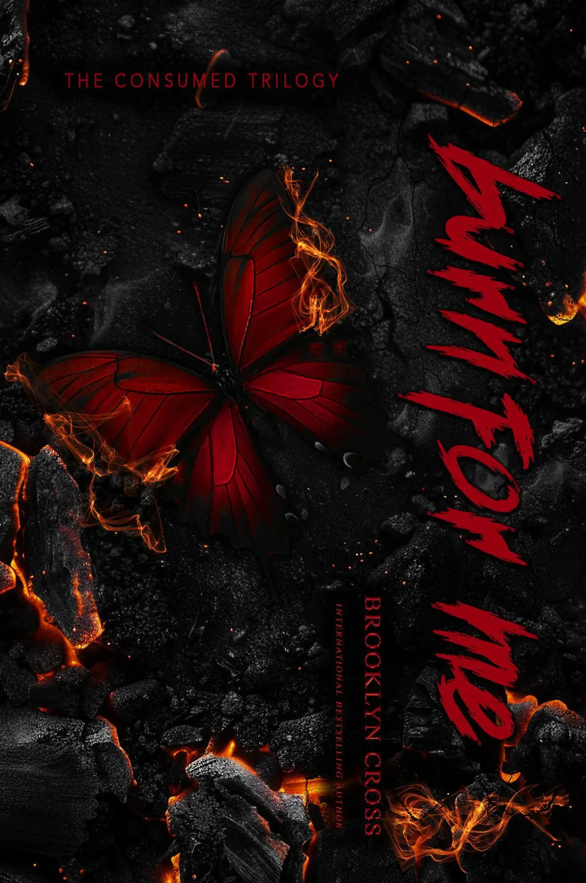 Burn For Me Special Edition
