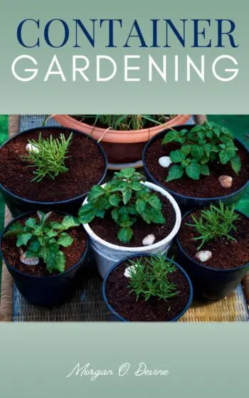 Container Gardening::