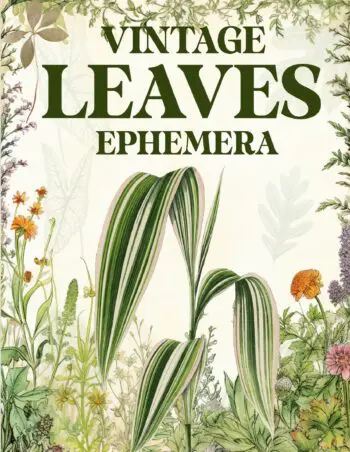 Vintage Leaves Ephemera Book