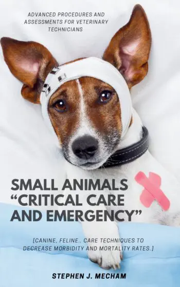 Small Animals “Critical Care and Emergency”::