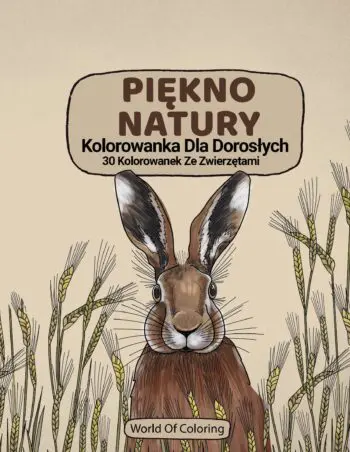 Kolorowanka Dla Doroslych