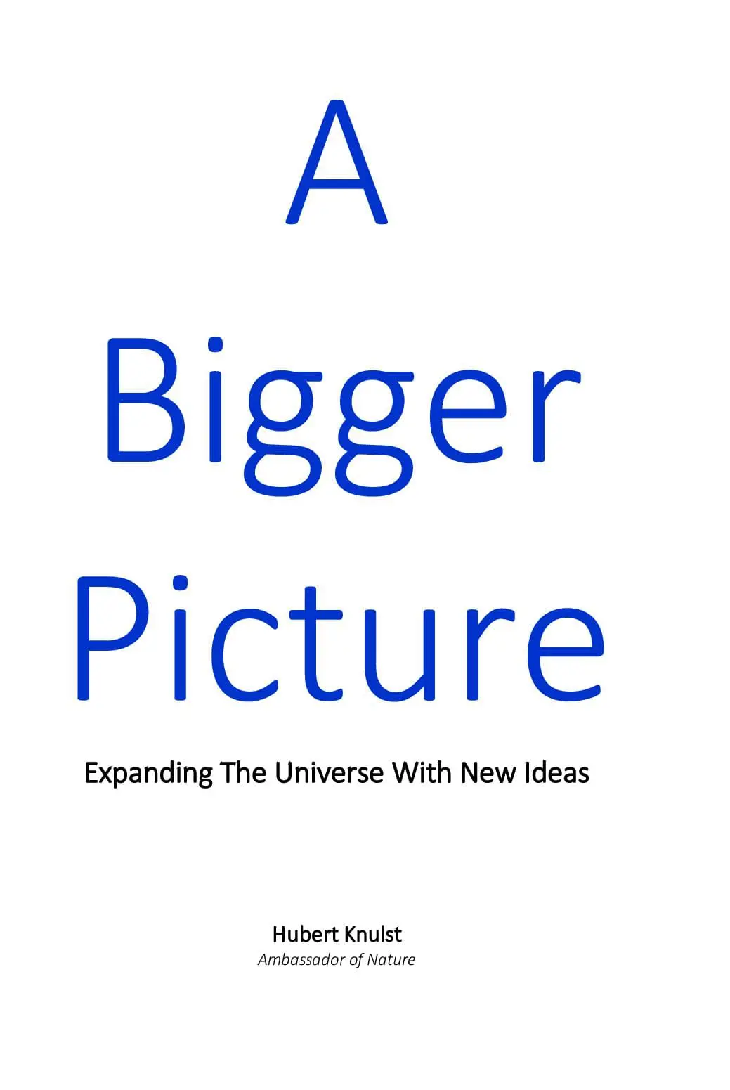A Bigger Picture