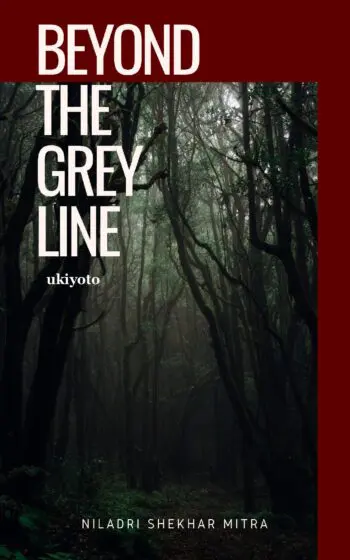 Beyond The Grey Line