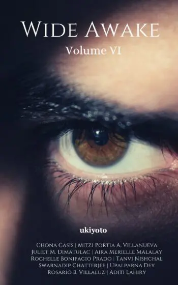 Wide Awake Volumke VI
