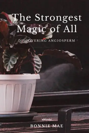 The Strongest Magic of All