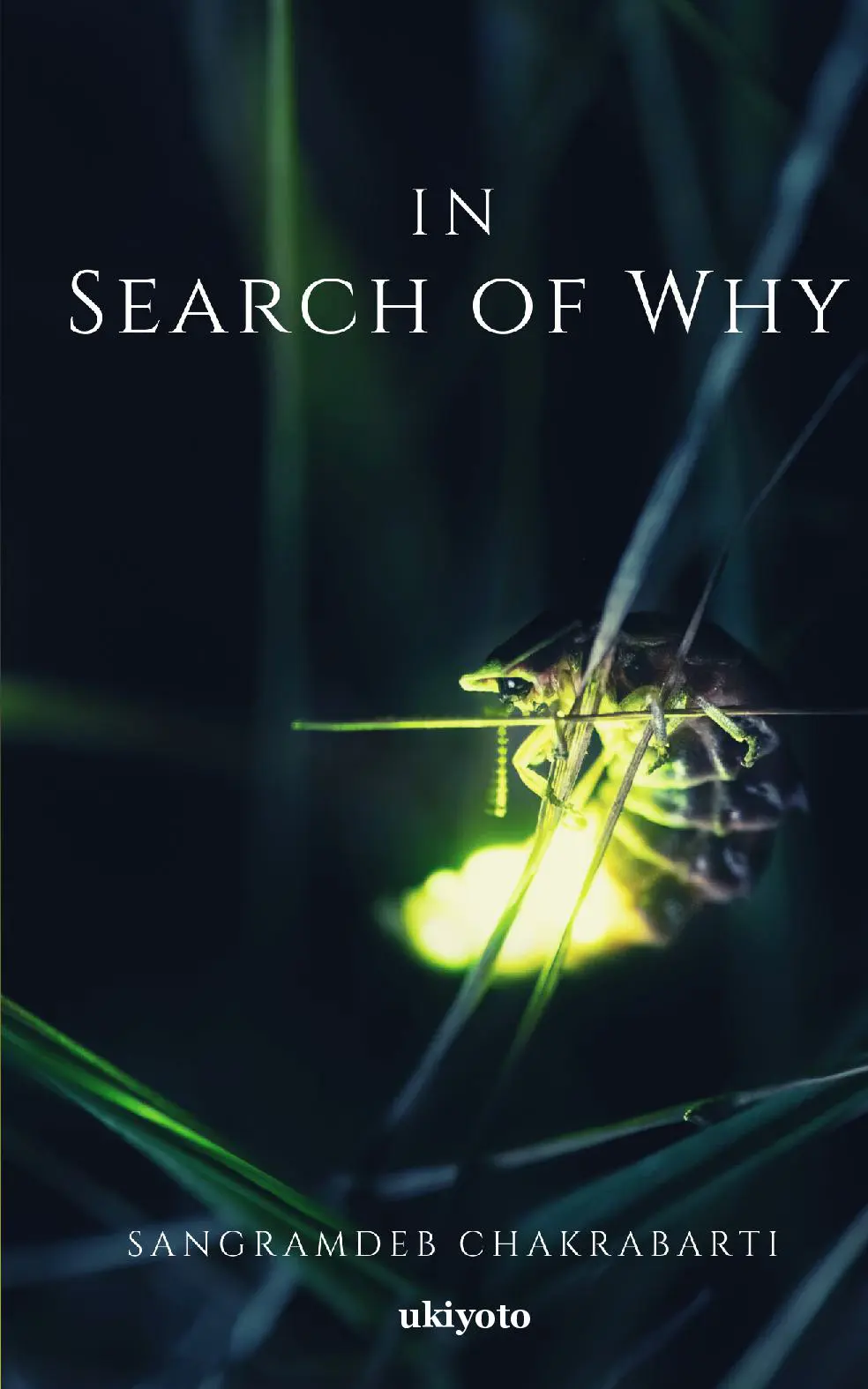 In Search for WHY...