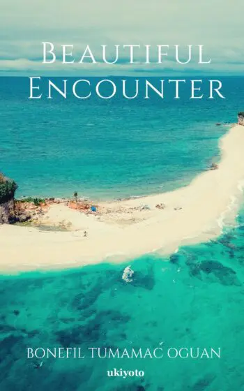 Beautiful Encounter
