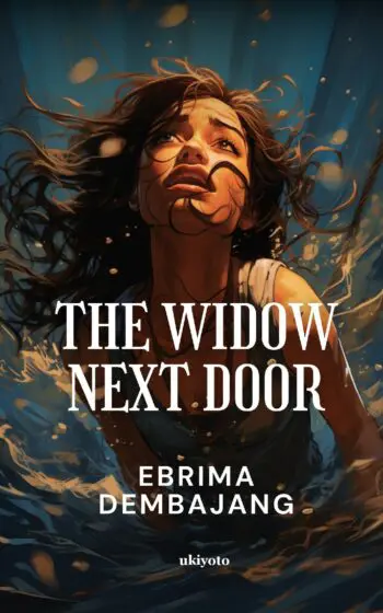 The Widow Next Book