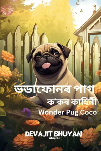 Wonder Pug Coco