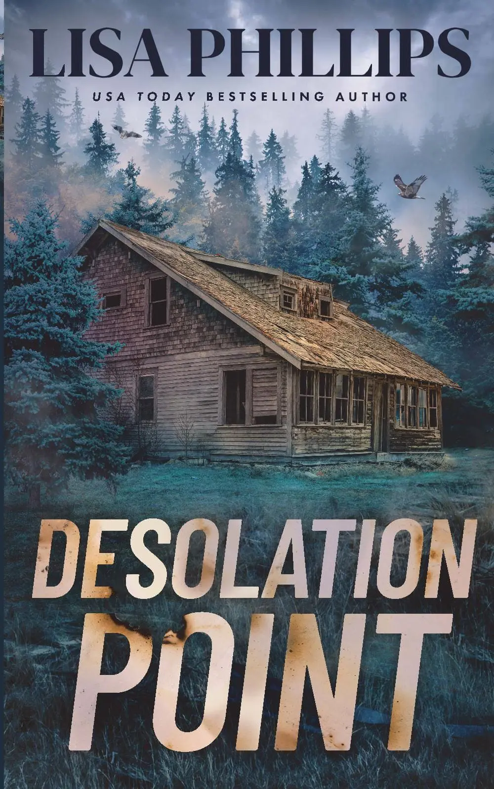 Desolation Point