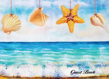 Visitor Guest Book, Seashells