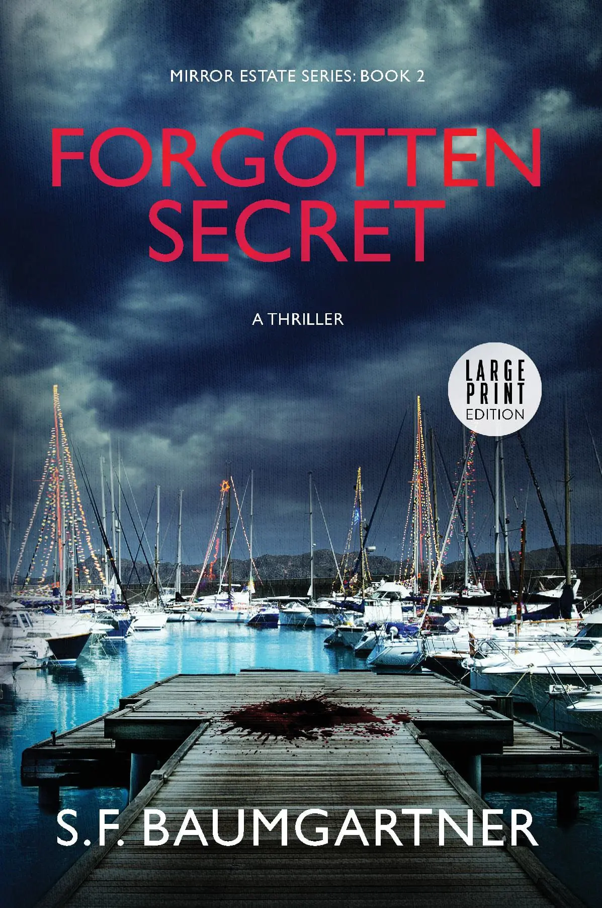 Forgotten Secret (Large Print)