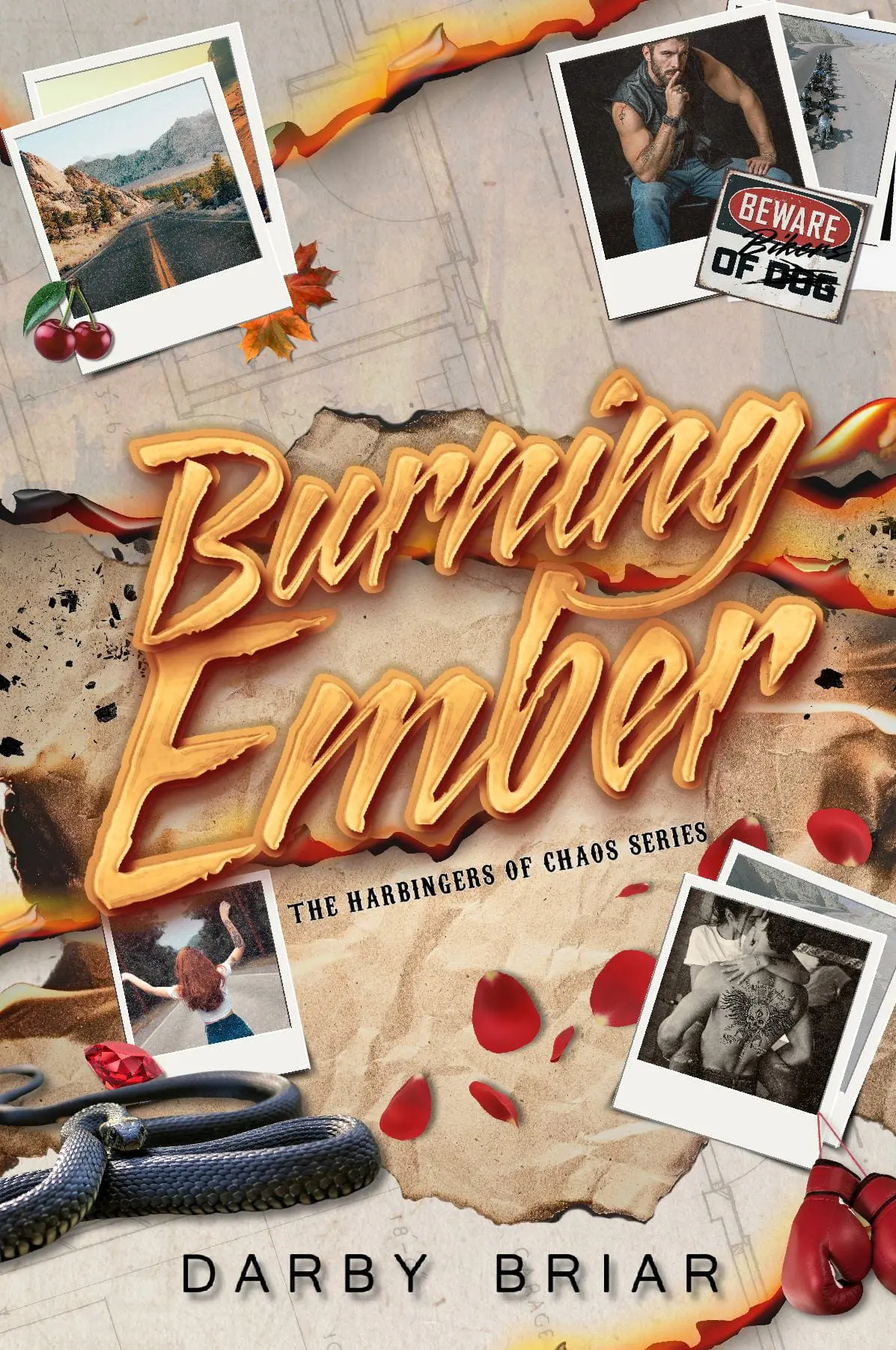 Burning Ember Hardback