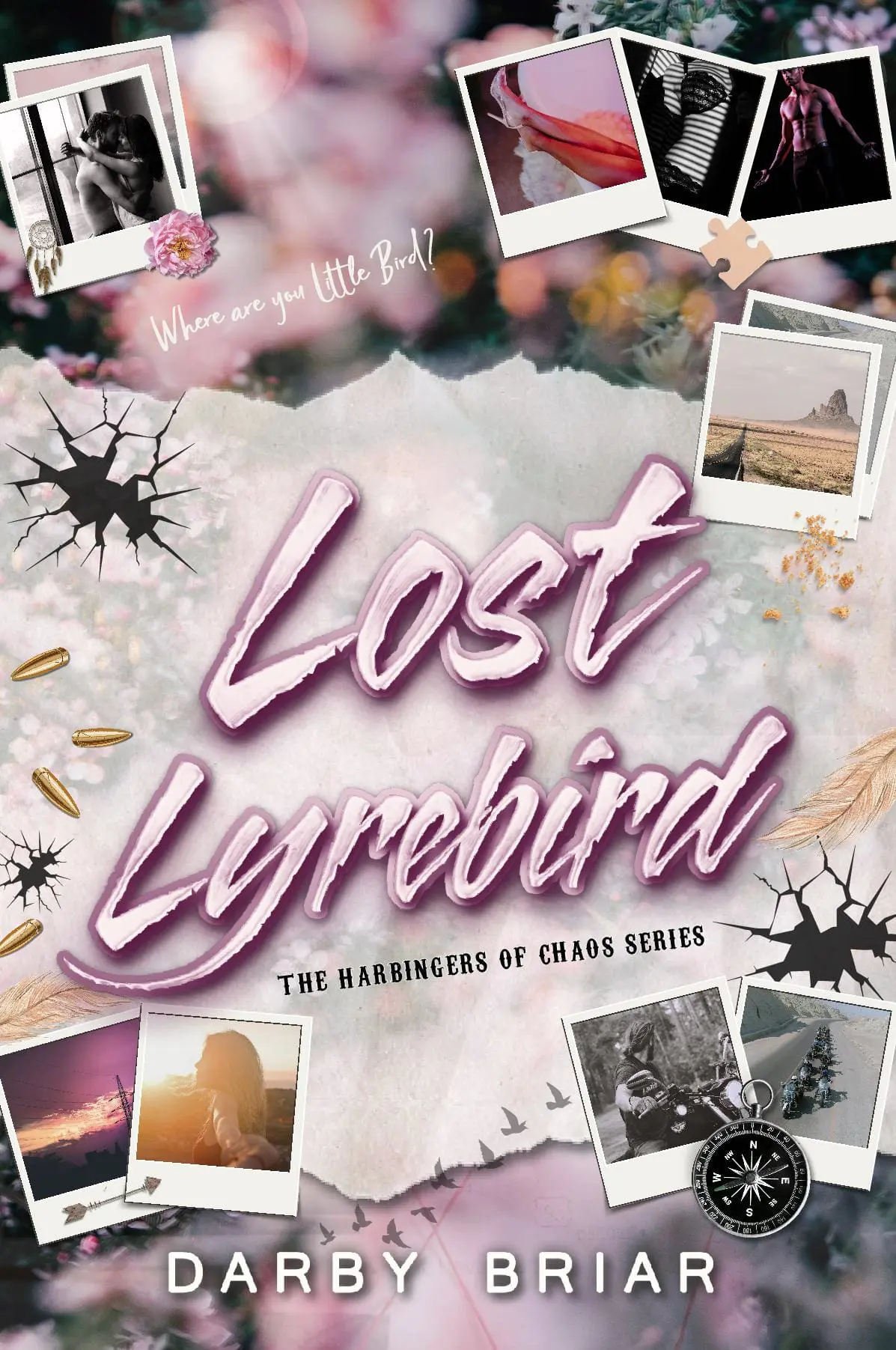 Lost Lyrebird Hardback