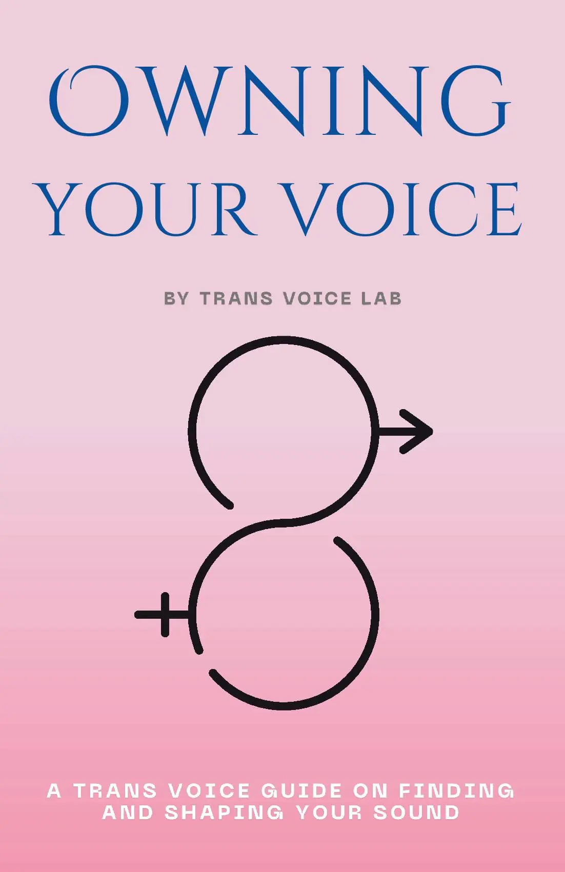 Owning Your Voice