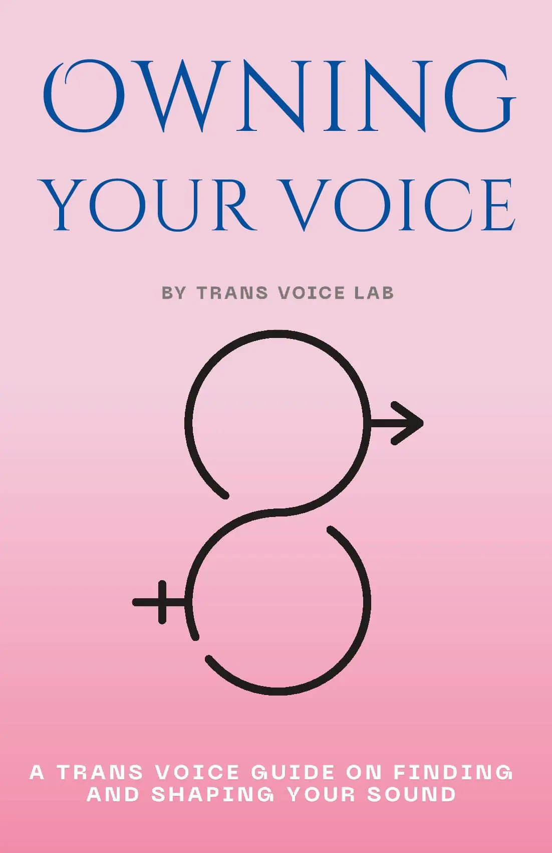 Owning Your Voice