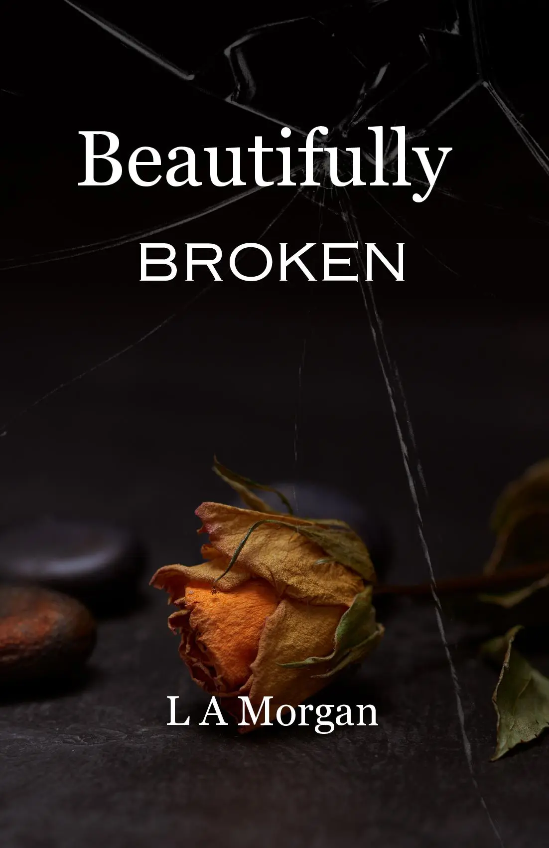 Beautifully Broken