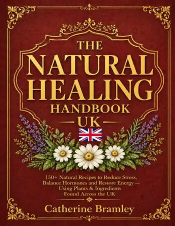 The Natural Healing Handbook UK