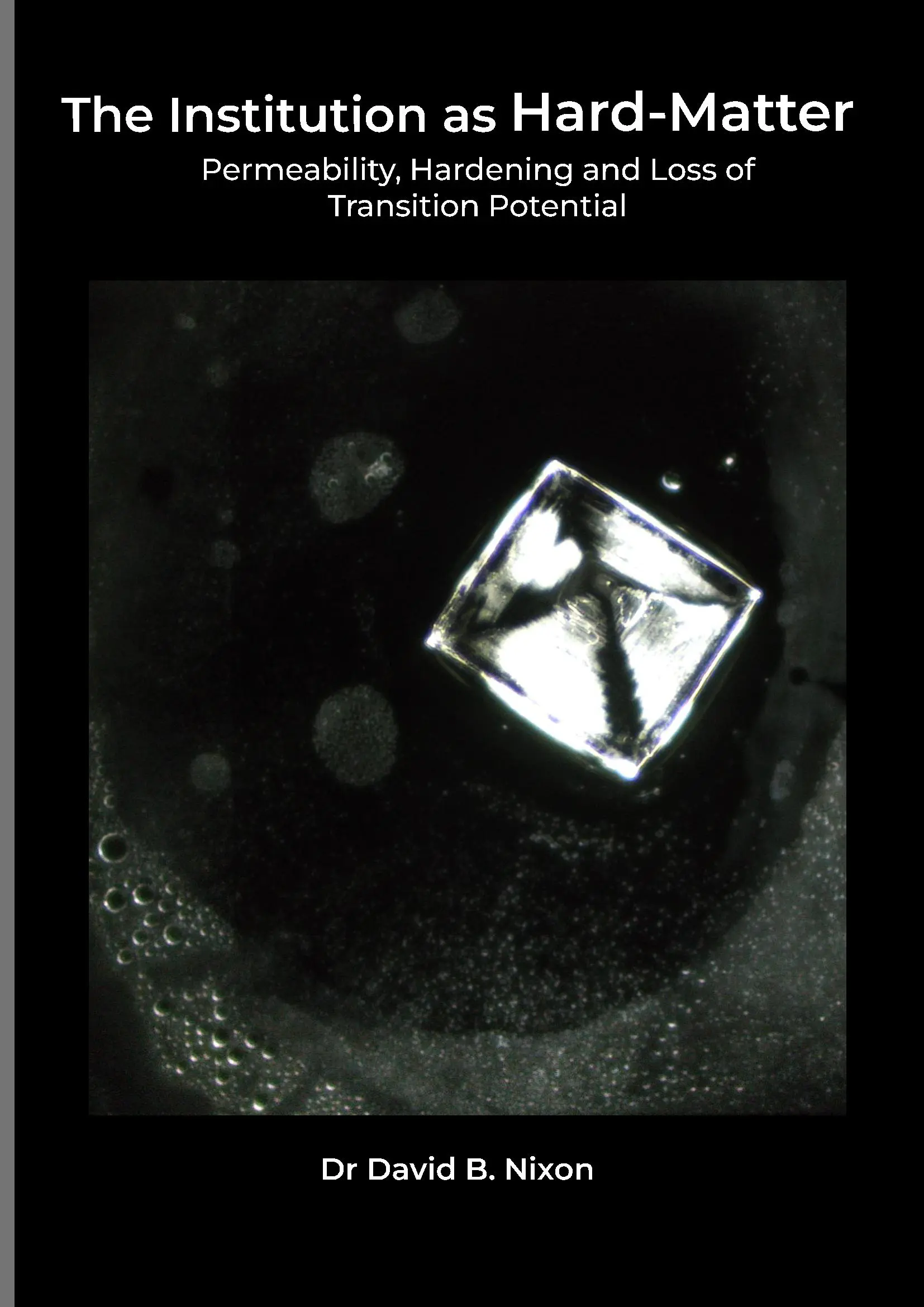 The Institution as Hard-Matter: Permeability, Hardening and Loss of Transition Potential (A4 Paperback Edition)
