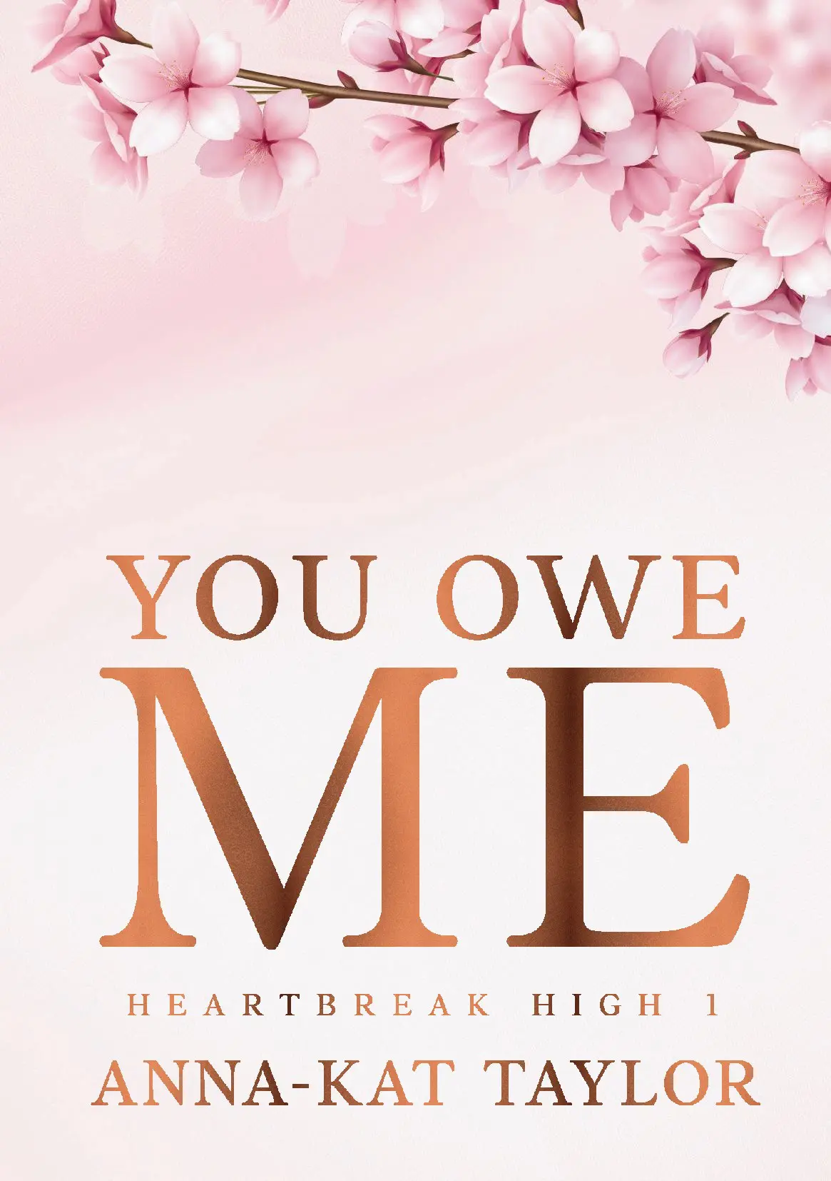 You Owe Me