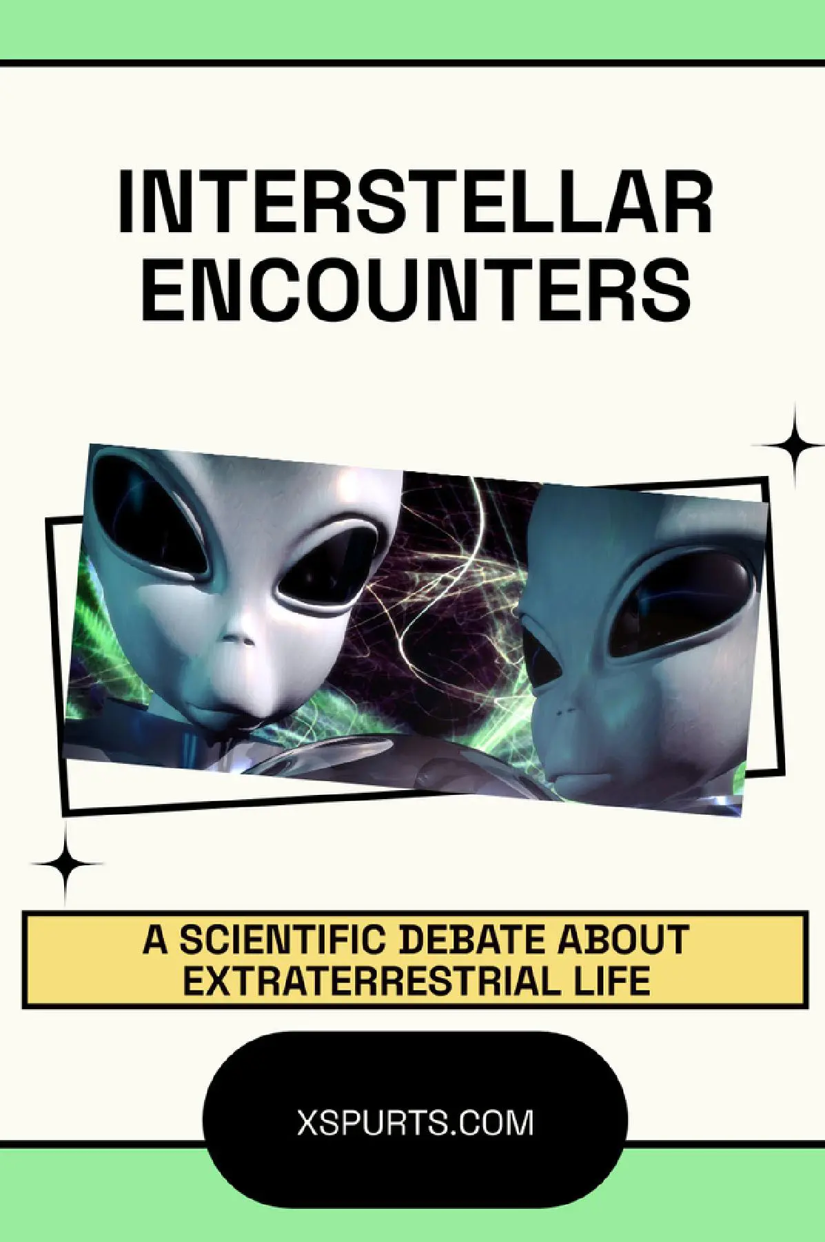Interstellar Encounters