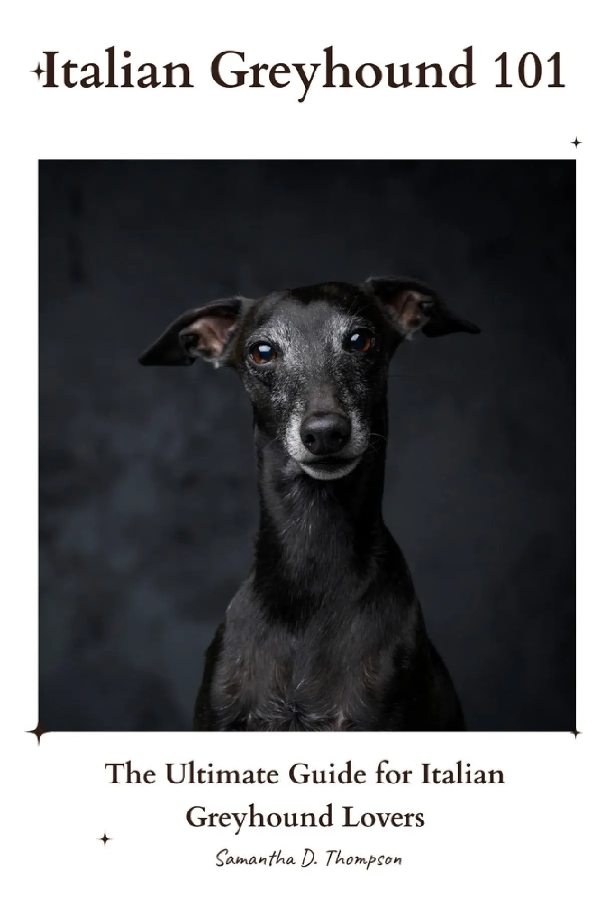 Italian Greyhound 101
