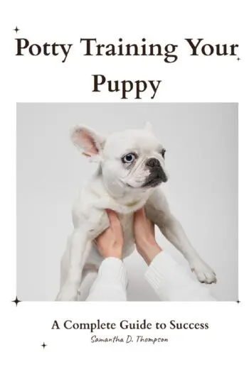 Potty Training Your Puppy