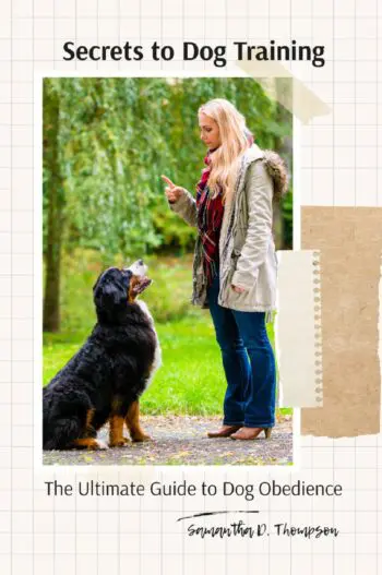 Secrets to Dog Training