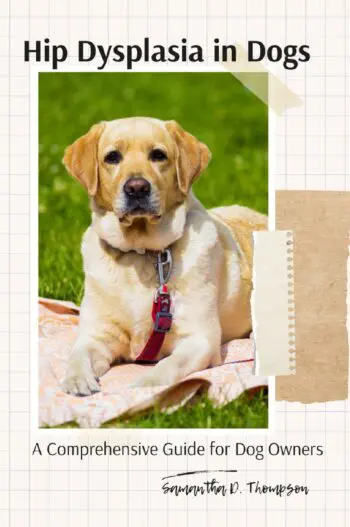 Hip Dysplasia in Dogs