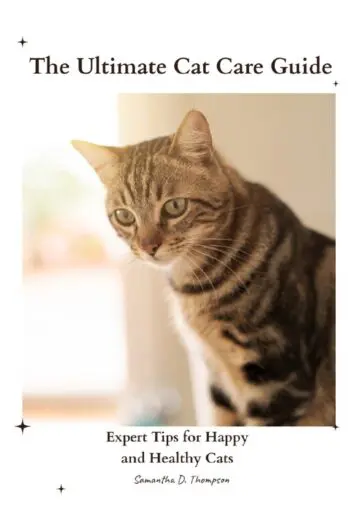 The Ultimate Cat Care Guide