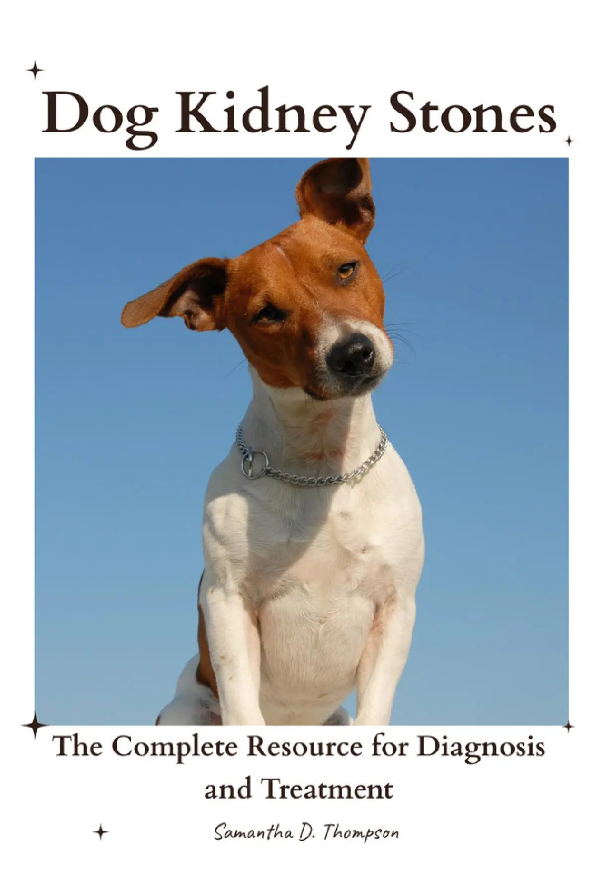 Dog Kidney Stones