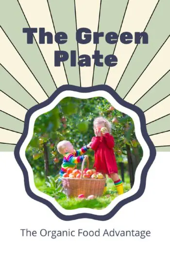 The Green Plate