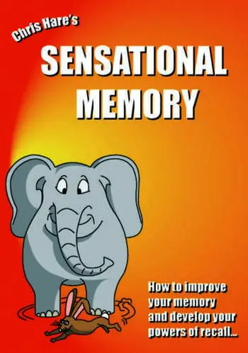 Sensational Memory