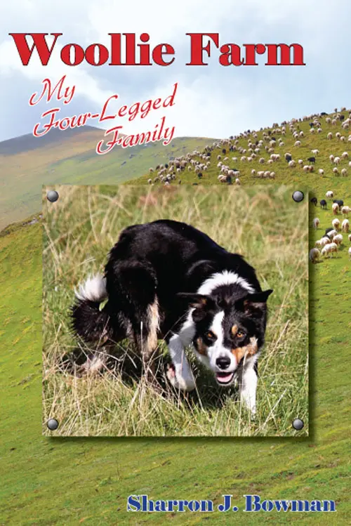 Woollie Farm: My Four-Legged Family